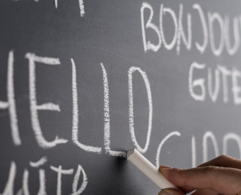 Can Seniors Learn a New Language?